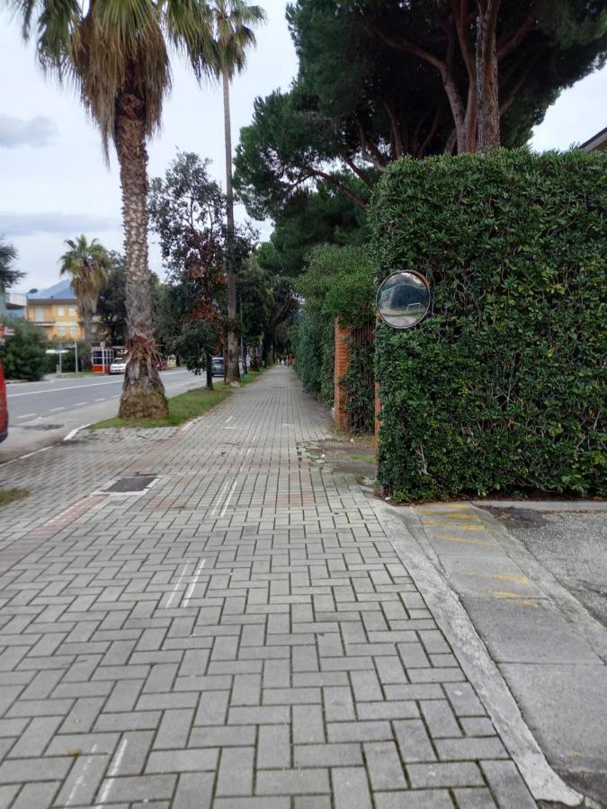 Bilocale Climatizzato A 850M Dalla Spiaggia Casa Katia Marina di Massa Kültér fotó