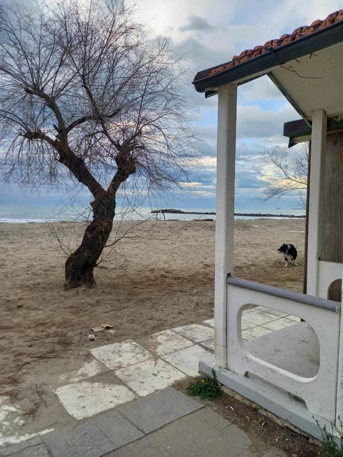 Bilocale Climatizzato A 850M Dalla Spiaggia Casa Katia Marina di Massa Kültér fotó